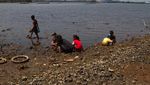 Cacing Laut dari Limbah Smelter Diburu, Harganya Tembus Rp 60 Ribu/Kg