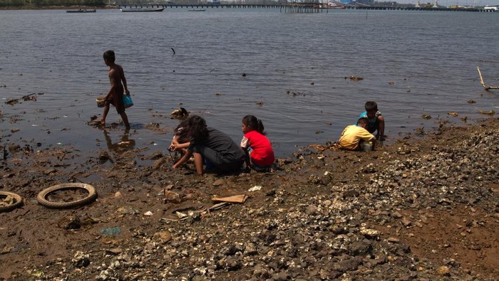 Berburu cacing laut di Kolaka Sejumlah anak mengumpulkan cacing laut di antara limbah smelter nikel di pesisir laut, Kecamatan Pomalaa, Kolaka, Sulawesi Tenggara, Senin (6/11/2023). Warga yang berada daerah tersebut memanfaatkan waktu saat air laut surut untuk mencari cacing laut dan hasilnya dijual ke pemilik tambak udang dengan harga Rp 60 ribu per kilogram. ANTARA FOTO/Jojon/rwa.
