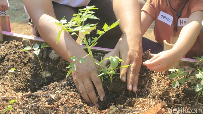 Berkebun Gembira di Seni Tani