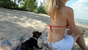 Anjing jahil... Foto: Boredpanda