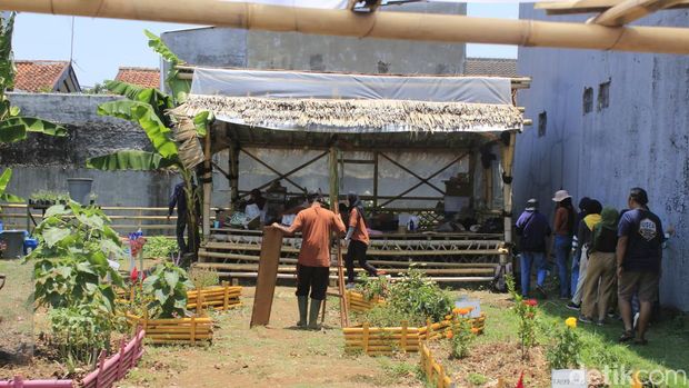 Kebun komunal Seni Tani yang diapit oleh perumahan di Arcamanik, Kota Bandung