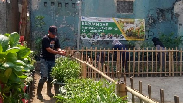 Kebun urban Kampung Bersinar Astra (KBA) Pasirluyu Regol, Kota Bandung