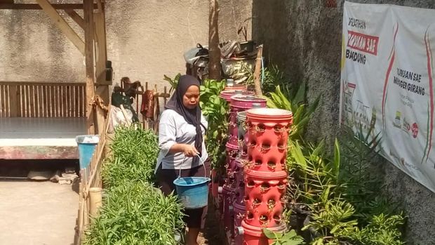Kebun urban Kampung Bersinar Astra (KBA) Pasirluyu Regol, Kota Bandung