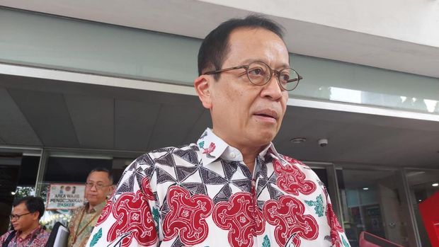 Kepala Eksekutif Pengawas Perbankan OJK Dian Ediana Rae