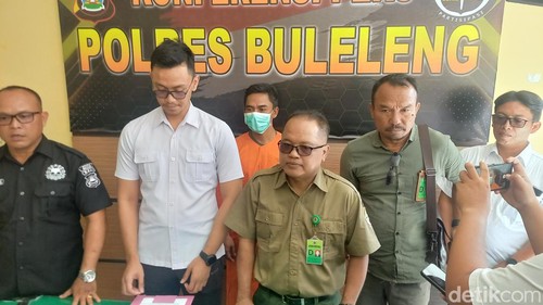 Konferensi pers penangkapan salah satu buronan kasus perburuan liar di Taman Nasional Bali Barat (TNBB) bernama Putu Arya Wiguna alias Apel di Mapolres Buleleng, Senin (6/11/2023). (Foto: Made Wijaya Kusuma/detikBali)