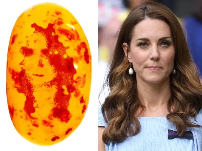 Makanan mirip artis