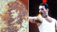 Seorang netizen memesan daging babi panggang di sebuah restoran. Tak disangka bentuk panggangannya mirip Freddie Mercury. Foto: The Sun