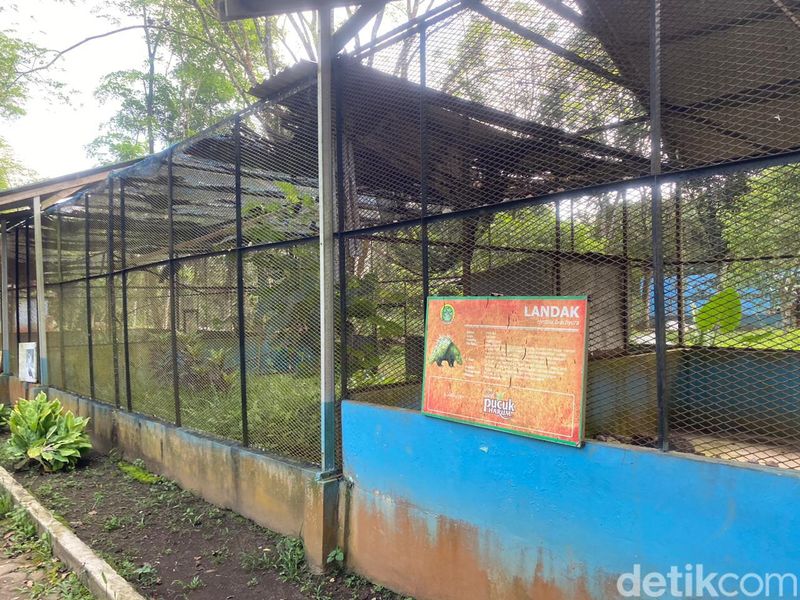 Medan Zoo yang kini tak terawat. (Muthi' Nur Hanifah/detikSumut)