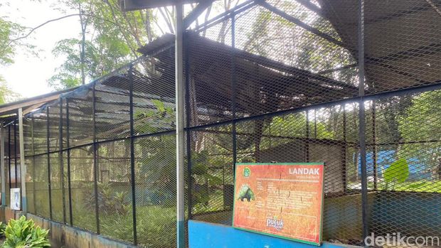 Medan Zoo yang kini tak terawat. (Muthi' Nur Hanifah/detikSumut)