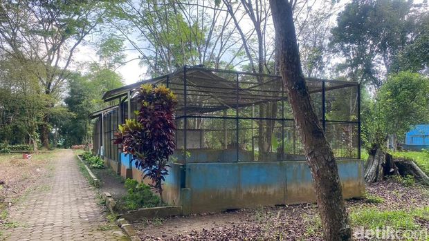 Medan Zoo yang kini tak terawat. (Muthi' Nur Hanifah/detikSumut)