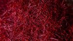 Memanen Saffron, Putik Bunga yang Jadi Rempah Termahal Dunia