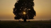 Di Kashmir, rempah-rempah adalah sumber kebanggaan dan telah menggerakkan ekonomi dan budaya wilayah tersebut selama berabad-abad. (AP Photo/Mukhtar Khan)     