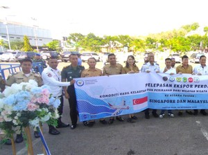 Ratusan Kilogram Ikan dari Labuan Bajo Tembus Pasar Singapura-Malaysia
