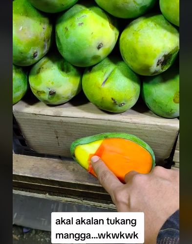 Penjual mangga curang