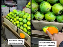 Trik Mangga Oranye Dilapisi Kertas hingga Cinta Kuya Jual Nasi Rames di Amerika