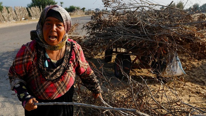 Perang Bikin Krisis, Warga Gaza Andalkan Kayu Bakar untuk Memasak Palestinians cook on firewood, amid fuel and cooking gas shortages, as the conflict between Israel and Hamas continues, in Khan Younis in the southern Gaza Strip, November 5, 2023. REUTERS/Ibraheem Abu Mustafa