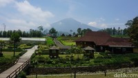 Desa Wisata Lembah Asri Serang (DLas) berada di Kecamatan Karangreja, Kabupaten Purbalingga, Jawa Tengah. Udara dingin khas pegunungan, serta pemandangan asri perbukitan hijau membuat desa ini menjadi magnet bagi banyak wisatawan, baik lokal maupun luar daerah.  