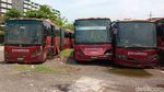 Potret Ratusan Bangkai Bus Dikubur di Rawa Buaya