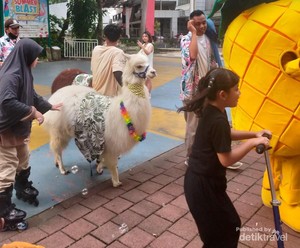 Tempat Rekreasi Berkonsep Unik di Tangerang