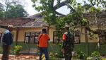 Penampakan Pohon Randu Tumbang Timpa Gedung SDN di Lamongan