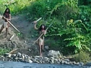 Heboh Buldoser Perusahaan Kayu di Halmahera Timur Diadang Suku Tobelo Dalam