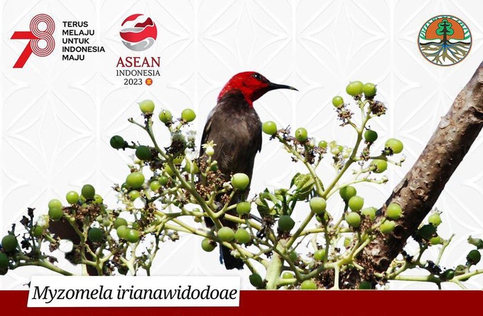 Temuan Fauna Terbaru di Indonesia.