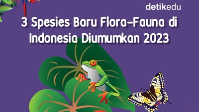 Infografis: 3 Spesies Baru di Indonesia yang Dipublikasikan 2023