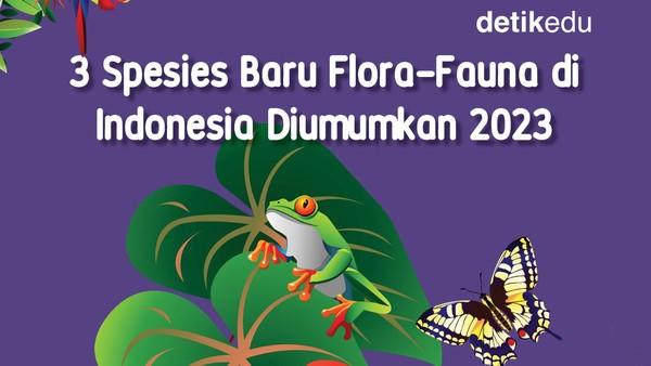 Infografis: 3 Spesies Baru di Indonesia yang Dipublikasikan 2023