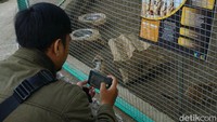 Diketahui, berkat berbagai inovasi pengembangan wisata yang dilakukan Pemerintah Desa Serang, pada 2021 lalu desa tersebut terpilih menjadi salah satu dari pemenang utama Program Desa BRILian. Desa BRILiaN ini adalah sebuah reward yang diberikan kepada desa yang berinovasi untuk meningkatkan perekonomian yang ada.  