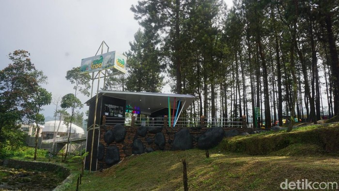 D’Las Zoo menjadi destinasi wisata menarik dari Kabupaten Purbalingga, Jawa Tengah. Pengunjung bisa melihat alpaka menggemaskan hingga kuda poni.