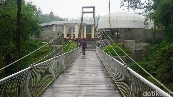 D’Las Zoo menjadi destinasi wisata menarik dari Kabupaten Purbalingga, Jawa Tengah. Pengunjung bisa melihat alpaka menggemaskan hingga kuda poni.