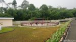 Gemasnya Alpaka hingga Kuda Poni di DLAS Zoo Purbalingga