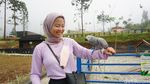 Gemasnya Alpaka hingga Kuda Poni di DLAS Zoo Purbalingga
