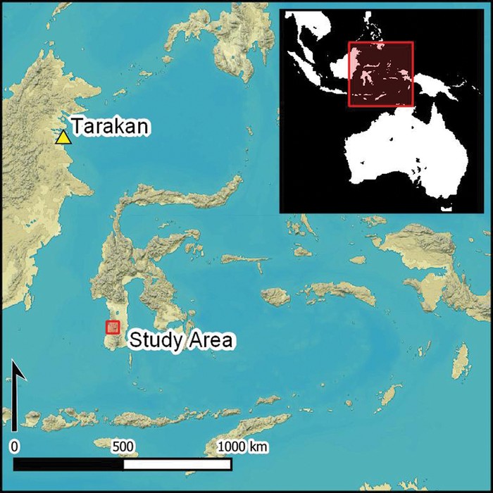 Gigi hiu purba berusia 7.000 tahun ditemukan di Sulawesi Gigi hiu purba berusia 7.000 tahun ditemukan di Sulawesi