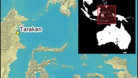 Gigi hiu yang dimodifikasi, dijelaskan dalam sebuah penelitian yang diterbitkan dalam jurnal Antiquity, ditemukan dalam konteks arkeologi yang terkait dengan budaya Toalean. Masyarakat pencari makan yang penuh teka-teki ini diperkirakan hidup sekitar 8.000 tahun yang lalu hingga periode yang tidak diketahui di masa lalu. (Foto: Michelle C Langley dkk via Cambridge University Press)