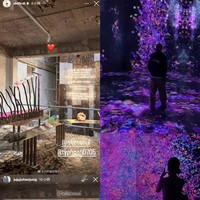 Sejumlah penggemar lantas menyadari bahwa Choi Woo Shik dan Ju Hee Jung kerap mengunggah foto di tempat yang sama lewat Instagram Story. Seperti sedang berkencan dan saling mengambilkan foto.Foto: dok. Instagram @jujujuheejung