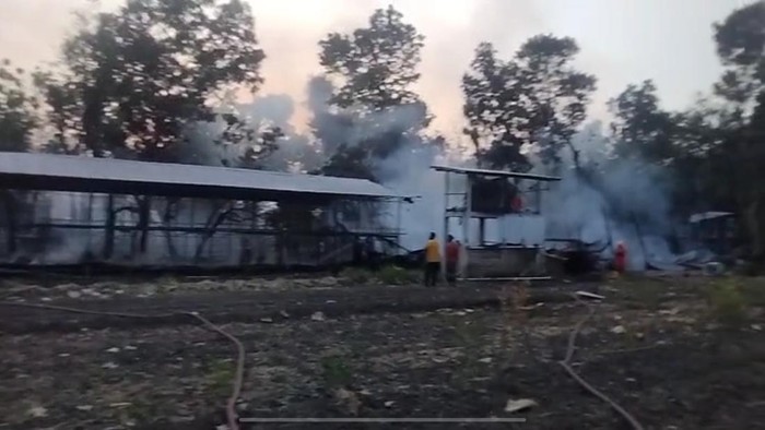 Kandang ayam isi 14 ribu ayam di Ponorogo ludes terbakar