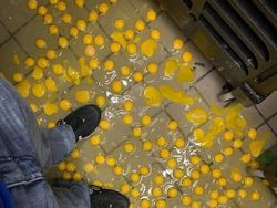 Deretan Kecelakaan Saat Bekerja Bikin Elus Dada dan Takut