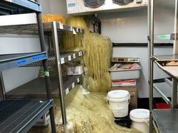 Deretan Kecelakaan Saat Bekerja Bikin Elus Dada dan Takut