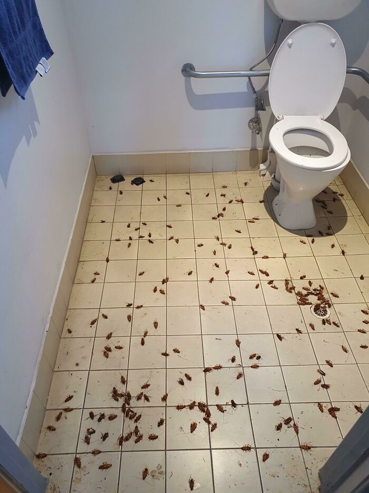 Kecelakaan di tempat kerja