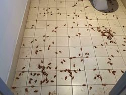 Deretan Kecelakaan Saat Bekerja Bikin Elus Dada dan Takut