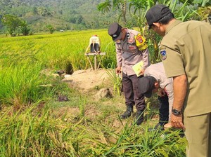 Petani di Kolaka Timur Dibacok Tetangga gegara Rebutan Air Irigasi Sawah