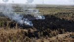 Mahkamah Agung India Minta Petani Setop Pembakaran Lahan