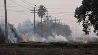 Tak hanya dari pembakaran lahan, polusi udara di India juga dihasilkan dari kendaraan, industri dan konstruksi.