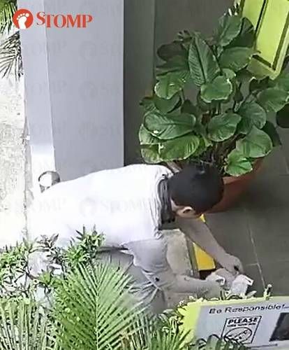Waduh! Ojol Ini Nekat Tuang Kembali Makanan Pelanggan yang Tumpah