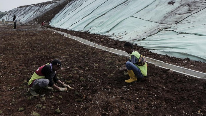 Pekerja menanam rumput di area pembangunan ruang terbuka hijau, Cilaku, Kabupaten Cianjur, Jawa Barat, Senin (6/11/2023). Pembangunan ruang terbuka hijau di lahan bekas TPA Pasir Sembung seluas tujuh hektare itu ditargetkan selesai pada akhir 2023 untuk ruang publik masyarakat Cianjur. ANTARA FOTO/Henry Purba/agr/rwa.