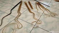 Jadi untuk satu wayang gunungan dari kulit kerbau bisa mencapai Rp 3-4 juta, kalau kulit sapi sekitar Rp 2 juta. Kalau pakai kulit kambing untuk wayang gunungan kurang bagus karena tipis kulitnya, ucapnya. Foto: Pradito Rida Pertana/detikJogja