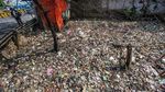 Hii... Jorok! Penampakan Sampah Kotori Sungai di Ciawi
