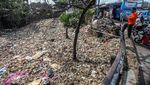 Hii... Jorok! Penampakan Sampah Kotori Sungai di Ciawi