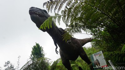 Wow... Ada Dinosaurus di Purbalingga